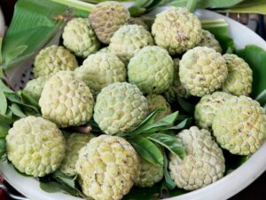 Learn About The Custard Apple's Health Benefits For Both Men And Women.