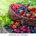 The Seven Best Advantages Of Berries For Health