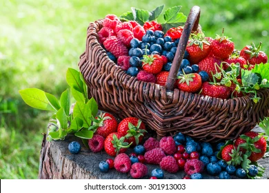 The Seven Best Advantages Of Berries For Health
