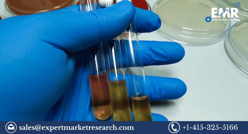 Urease Market