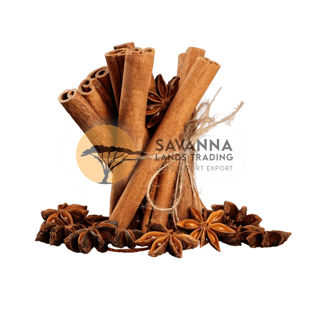 Cinnamon Supplier